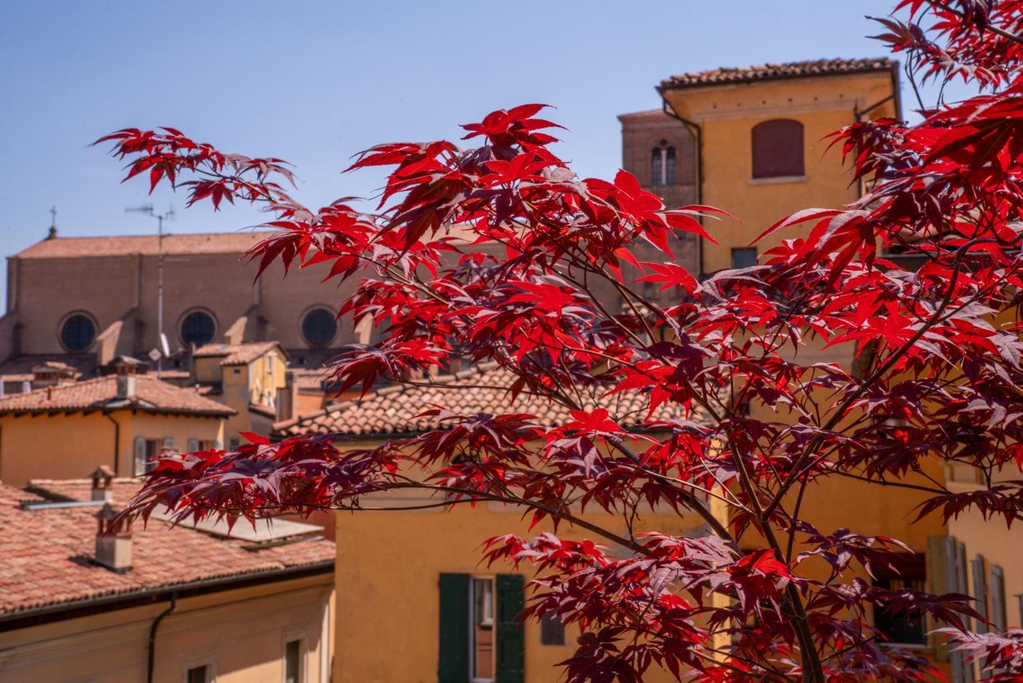 Alojamento de Acomodação e Pequeno-almoço Piazza Maggiore Santa Margherita Bolonha